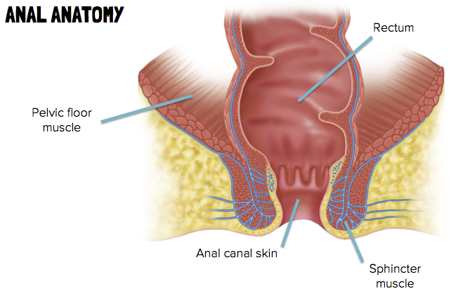 642px x 414px - What Are Symptoms Of Anal Cancer - Hot porno